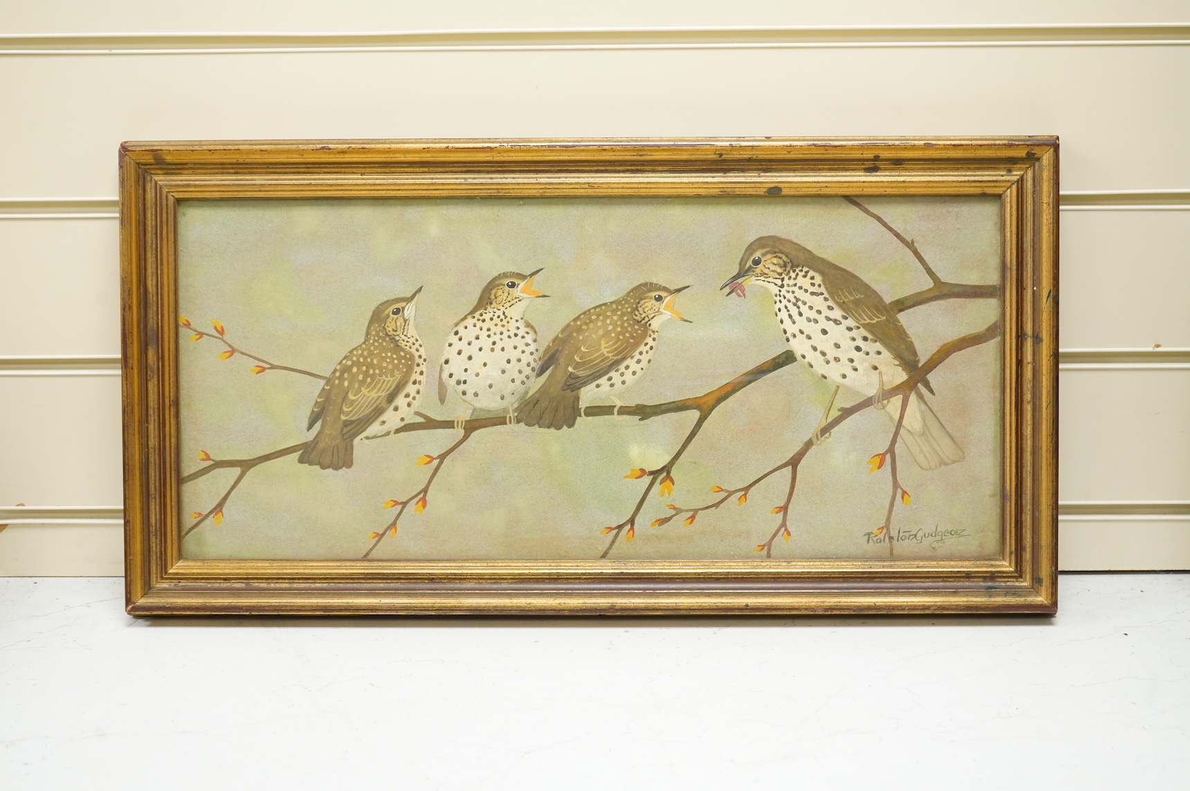 Ralston Gudgeon (Scottish, 1910-1984), Study of four birds on a branch, signed, watercolour, 21 x 49cm